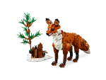 Forest Animals: Red Fox - Image 3