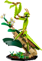 The Insect Collection - Image 4