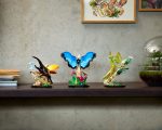 The Insect Collection - Image 10