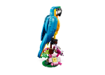 Exotic Parrot - Image 3