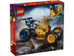 Arin's Ninja Off-Road Buggy Car - Image 6