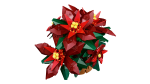 Poinsettia - Image 3