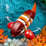 Tropical Aquarium - Image 5